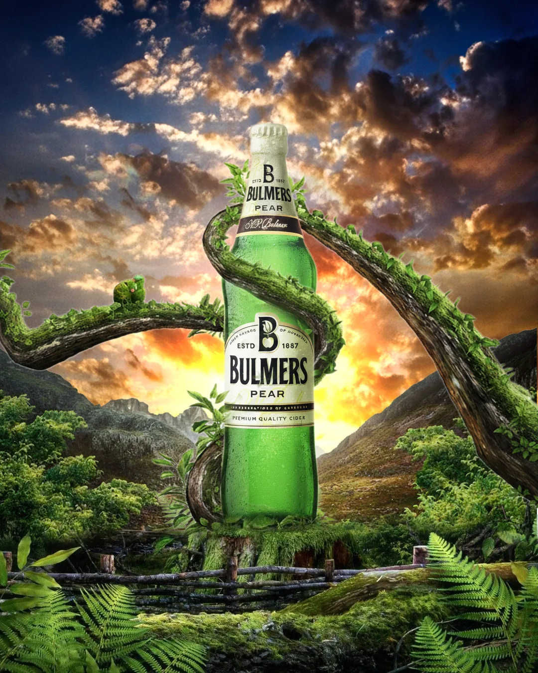 best digital marketing strategist in kasaragod